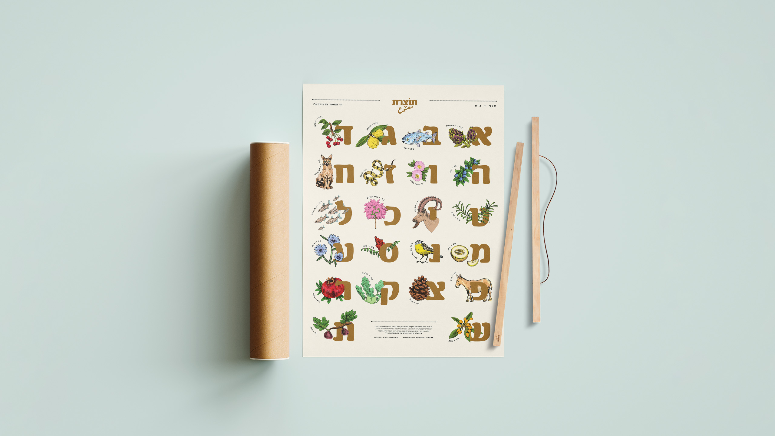 mockups-design.com